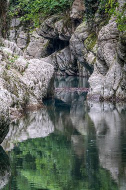 Yamaçlarda yeşil bir orman ile bir taş geçit içinde Dağ nehri.
