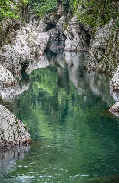 Rio de montanha em um desfiladeiro de pedra com uma floresta verde nas encostas . — Fotografia de Stock