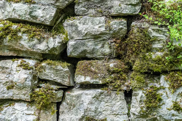 Древняя каменная стена, заросшая травой и мхом . — стоковое фото
