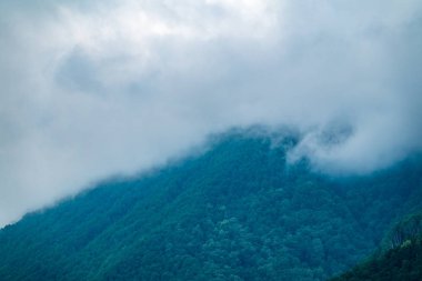 Ormanlı yamaçlarda ve bulutlarda gizlenmiş doruklara sahip yüksek dağlar.