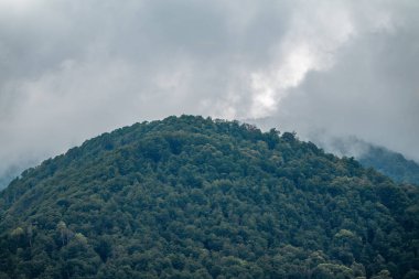 Ormanlı yamaçlarda ve bulutlarda gizlenmiş doruklara sahip yüksek dağlar.