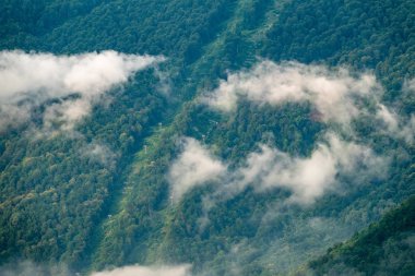 Kablovagonları ile yeşil bir dağın yamaçlarında bulutlar ve sis.