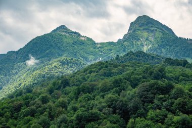 Yeşil yamaçlarda ve bulutlu yaz gününde yüksek dağların kayalık doruklarına
