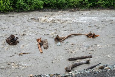 Bir dağ nehir bahar güçlü akışını