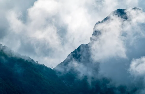 Altas montanhas com encostas florestadas e picos escondidos nas nuvens . — Fotografia de Stock