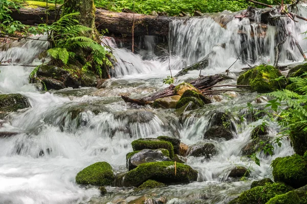 A Fast mountain stream in forest, surrounded by greenery