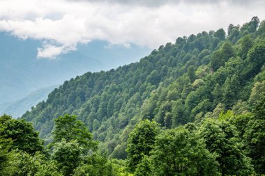 Bulutlu bir gökyüzünde yeşil dağlarla çevrili vadinin manzarası