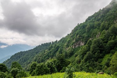 Ormanlı yamaçlarda ve bulutlarda gizlenmiş doruklara sahip yüksek dağlar.