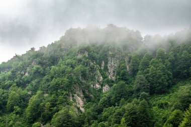 Ormanlı yamaçlarda ve bulutlarda gizlenmiş doruklara sahip yüksek dağlar.
