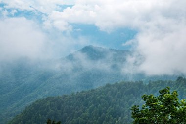 Ormanlı yamaçlarda ve bulutlarda gizlenmiş doruklara sahip yüksek dağlar.