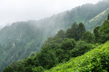 Yeşil çayırın arkasında kayalık zirveleri olan dağlar