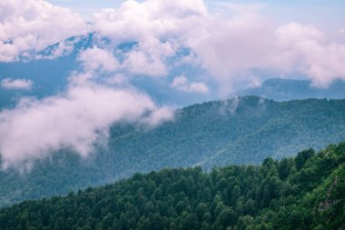 Ormanlı yamaçlarda ve bulutlarda gizlenmiş doruklara sahip yüksek dağlar.