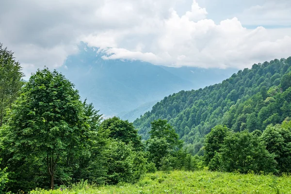Uitzicht op de vallei omgeven door groene bergen in een bewolkte hemel — Stockfoto