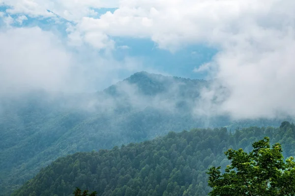 Altas montañas con laderas boscosas y picos escondidos en las nubes . — Foto de Stock