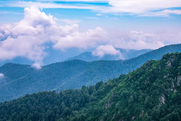 Ormanlı yamaçlarda ve bulutlarda gizlenmiş doruklara sahip yüksek dağlar. — Stok fotoğraf
