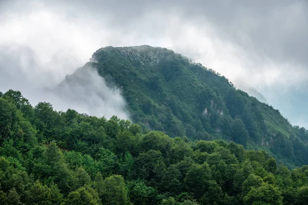 Altas montañas con laderas boscosas y picos escondidos en las nubes. Tres ciervos o cabras de montaña están en una cresta en la distancia . — Foto de Stock