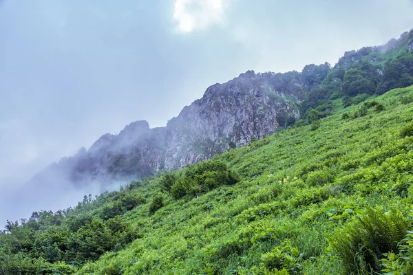 숲이 우거진 슬로프와 구름 속에 숨겨진 봉우리들이 있는 높은 산들. — 스톡 사진
