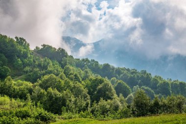 Ormanlı yamaçlarda ve bulutlarda gizlenmiş doruklara sahip yüksek dağlar.