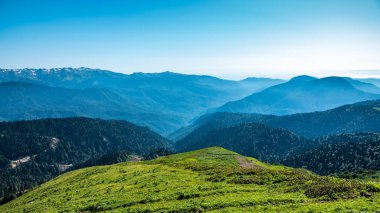 Yüksek dağlarla çevrili yeşil bir dağ vadisinin yüksekliğinden manzara. Ufukta karla kaplı dağ zirveleri.