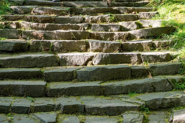 Old steps in the green park.