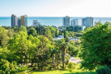 Sıcak bir güney şehrinde yeşil bir parkdeniz manzarası