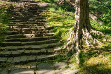 Yeşil park eski adımları.