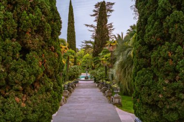 Bir yaz yeşil parkta adımlar ve bir çeşme ile Alley.