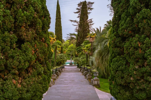 Alley with steps and a fountain in a summer green park. — Stock Photo, Image