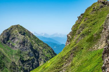 Ormanlık yamaçları olan yüksek dağlar.