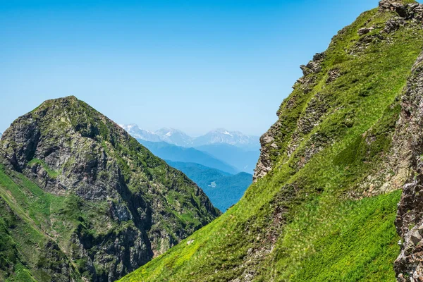 Ormanlık yamaçları olan yüksek dağlar.