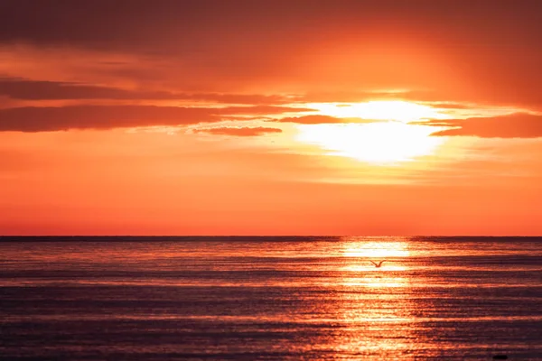 Hermoso atardecer rojo y naranja sobre el mar . —  Fotos de Stock