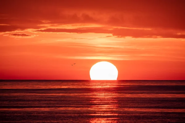 Beautiful red and orange sunset over the sea. The sun goes down over the sea. Two seagulls are flying against the sunset.