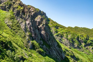 Büyüyen otlarla kayalık bir dağ zirvesi güneş ışınlarıyla aydınlatılır..
