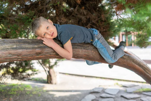 Το αγόρι βρίσκεται σε ένα παχύ κλαδί παλιού δέντρου σαν γάτα. — Φωτογραφία Αρχείου