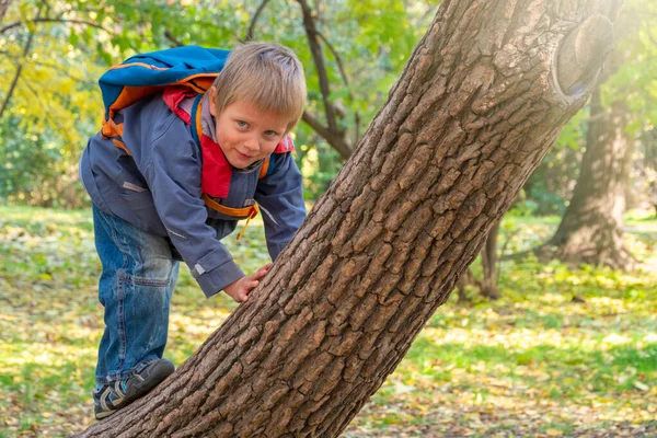 5岁的小男孩在秋天的公园里爬上一棵树. — 图库照片