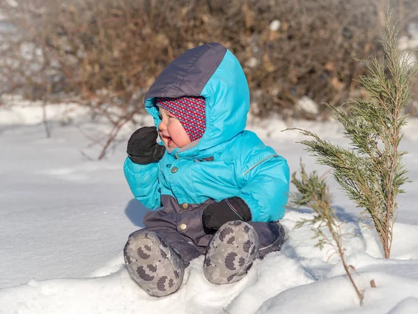Маленький ребенок сидит в снегу в парке — стоковое фото