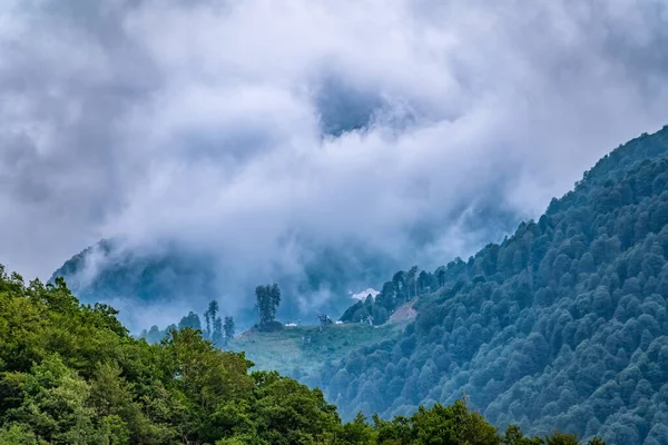 濃い雲と霧の中に隠された緑の斜面と高い山 曇りの日に山の中で重い霧 ケーブルカーとスキーで緑の山の斜面は曇りの夏の日に実行されます — ストック写真