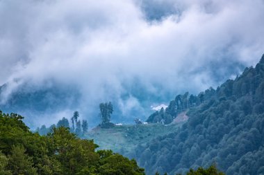 Yoğun bulutların ve sislerin arasına gizlenmiş yeşil yamaçlı yüksek dağ. Bulutlu bir günde dağlarda yoğun sis var. Yeşil dağ yamacı, teleferikli ve kayak pisti bulutlu yaz gününde..