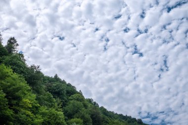 Yamaçtaki yeşil ormanın üzerindeki yoğun desenli bulutlar. Yeşil dağlarda bulutlu bir gün. Kalın bulutlu dağ manzarası.