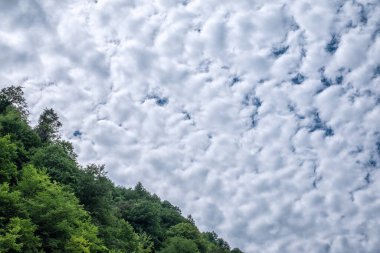 Yamaçtaki yeşil ormanın üzerindeki yoğun desenli bulutlar. Yeşil dağlarda bulutlu bir gün. Kalın bulutlu dağ manzarası.