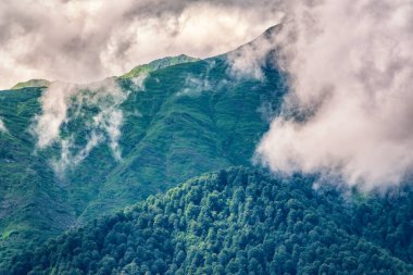 Yoğun bulutların ve sislerin arasına gizlenmiş yeşil yamaçlı yüksek dağ. Bulutlu bir günde dağlarda yoğun sis.