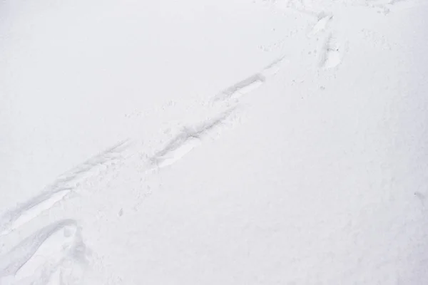 Αποτυπώματα Φρέσκο Χιόνι Βήματα Στο Λευκό Χιόνι Χειμερινό Φόντο Αντίγραφο — Φωτογραφία Αρχείου
