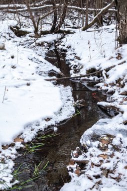 Saf beyaz kar üzerinde küçük bir orman deresi