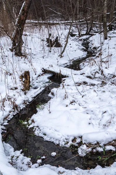 Een Kleine Bosbeek Puur Witte Sneeuw — Stockfoto