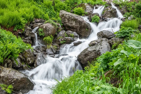 Kayalardan Taşlardan Güçlü Bir Dağ Deresi Akıyor Yazın Dağlarda Yeşil — Stok fotoğraf