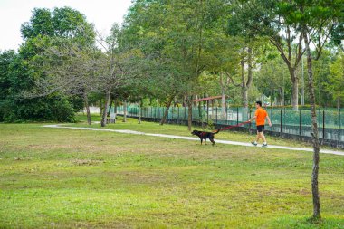 İnsan ve köpek parkta yürüyen