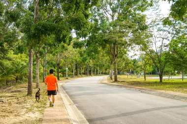 İnsan ve köpek parkta yürüyen
