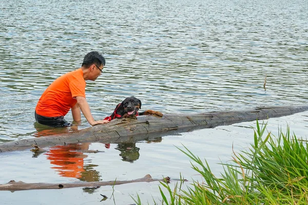 Hombre Perro Divirtiéndose Lago — Foto de Stock