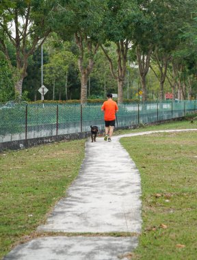 İnsan ve köpek parkta yürüyen