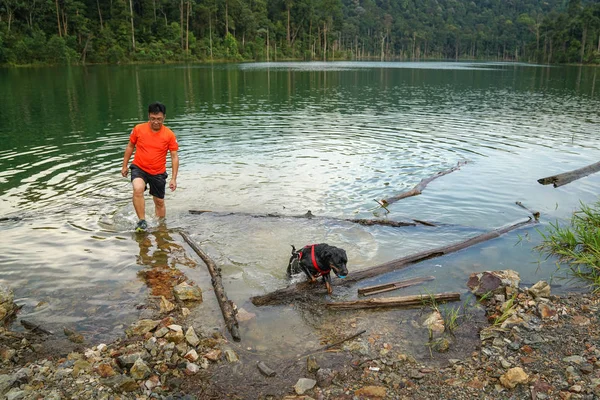 人間と犬は 湖で楽しんでください — ストック写真